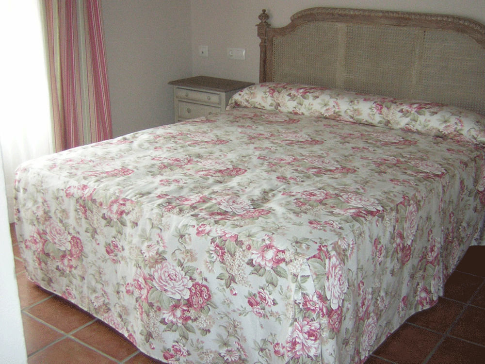 La Casona De Dona Petra Hotell Villarmentero de Campos Exteriör bild